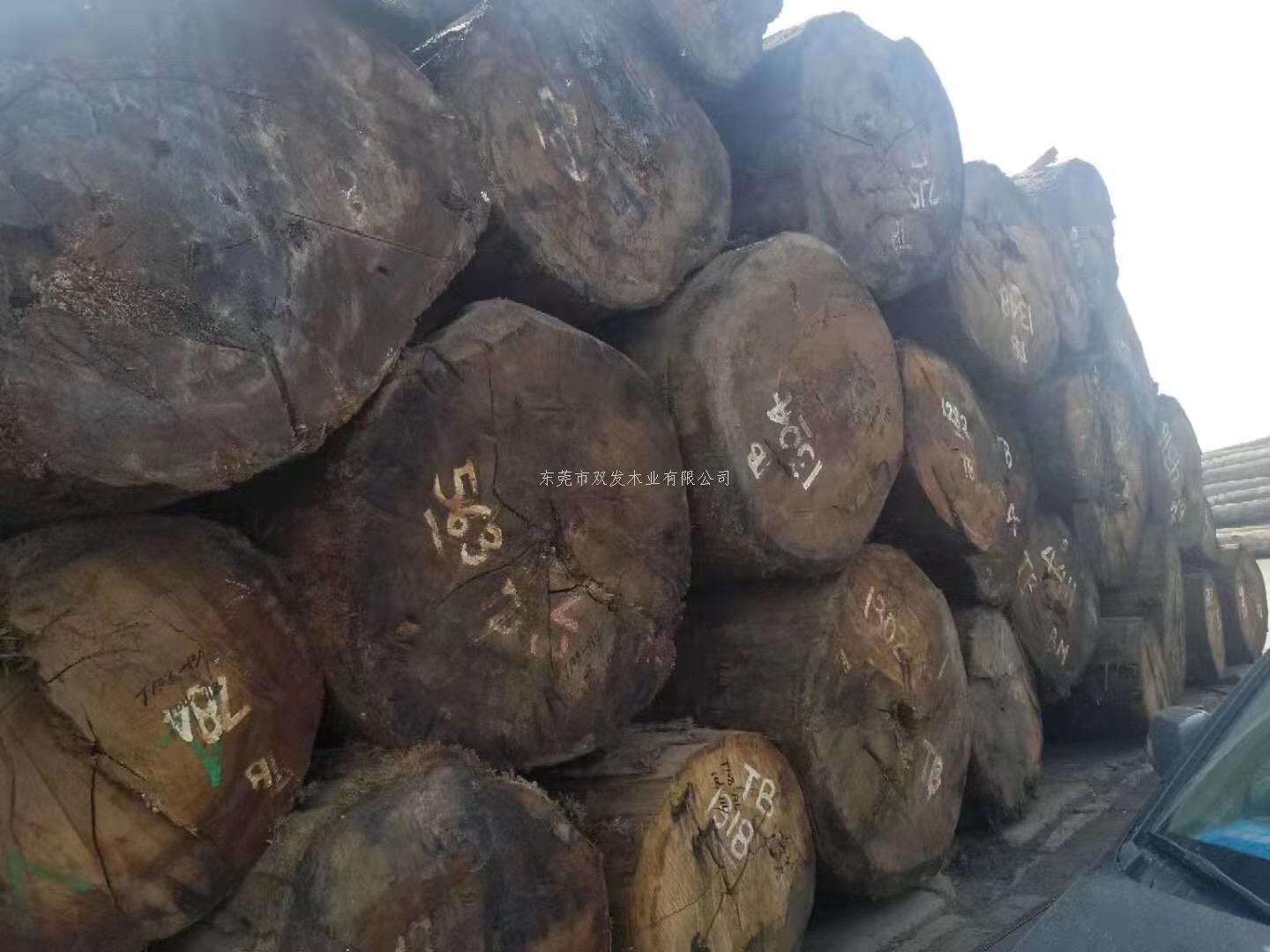 迎7月家具展，雙發(fā)木業(yè)原木加工進行中。。